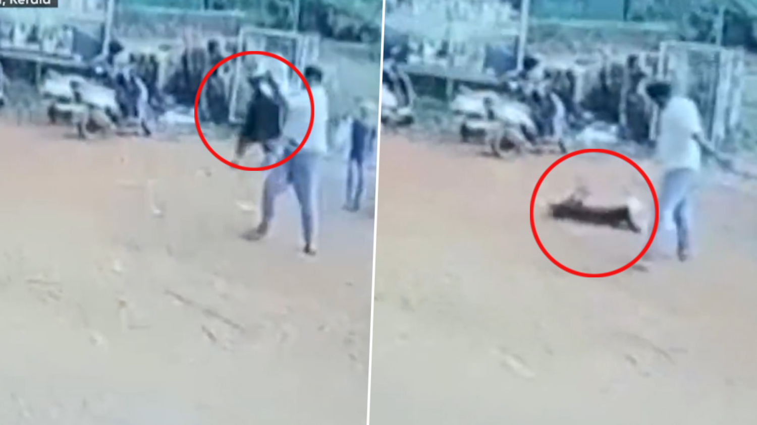 Man lifts, throws girl to road in Kerala, arrested